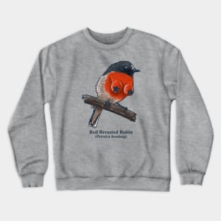 Red Breasted Robin Crewneck Sweatshirt